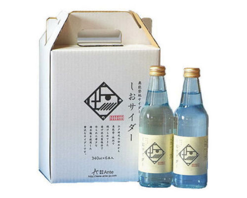 Noto Salt Cider 6 Pack
