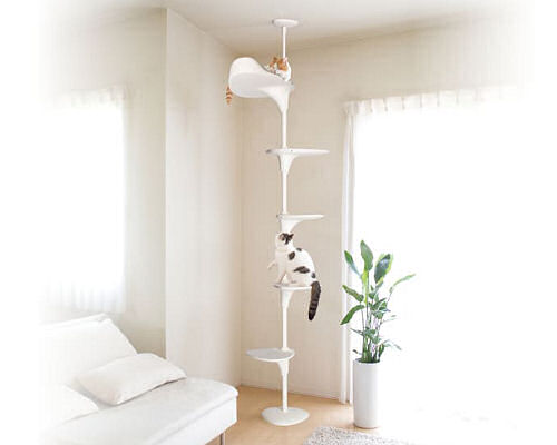 Cat Forest Climbing Tower 2