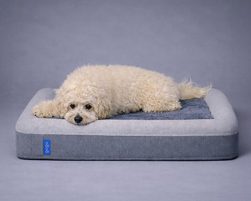 GuGu Doggie Bed