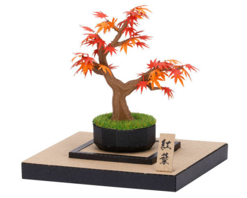 Paper Nano 360 Maple Bonsai Kit