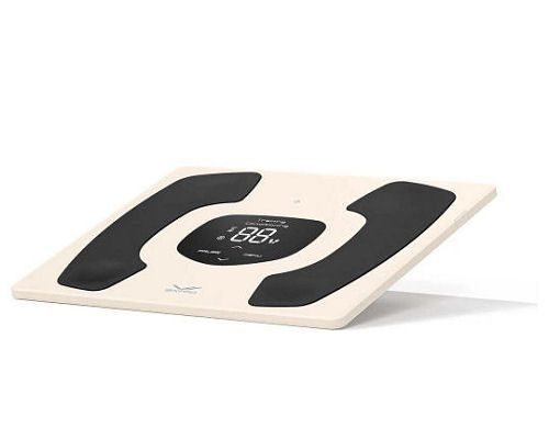 SixPad Foot Fit 3 Compact